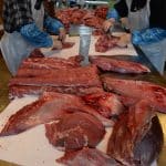 I dag delar vi frikostigt med oss av viltköttet till rovdjuren, men när Sverige nu ska öka graden av självförsörjning vad gäller livsmedel borde denna resurs räknas in i kalkylen, skriver debattören.