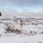 Hade de som nu talar om ”respekt för rättsläget” bemödat sig om att läsa våra reservationer skulle de se att vi moderater både värnar renskötseln och samtidigt vill säkerställa rätten att jaga och fiska på statens mark för alla svenskar, skriver debattören.