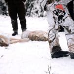 Den norska ekobrottsmyndigheten har väckt åtal mot tio personer efter att två vargar misstänks ha dödats illegalt i Eidskog, nära gränsen till Värmland.