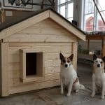 Ladda ner ritning och se film hur du bygger en isolerad hundkoja.