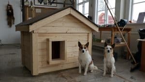Ladda ner ritning och se film hur du bygger en isolerad hundkoja.