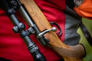 Sverige behöver ha en samlad viltmyndighet för att avlasta Polisen och för att samordna jakt och vapen till en expertmyndighet, skriver debattören.