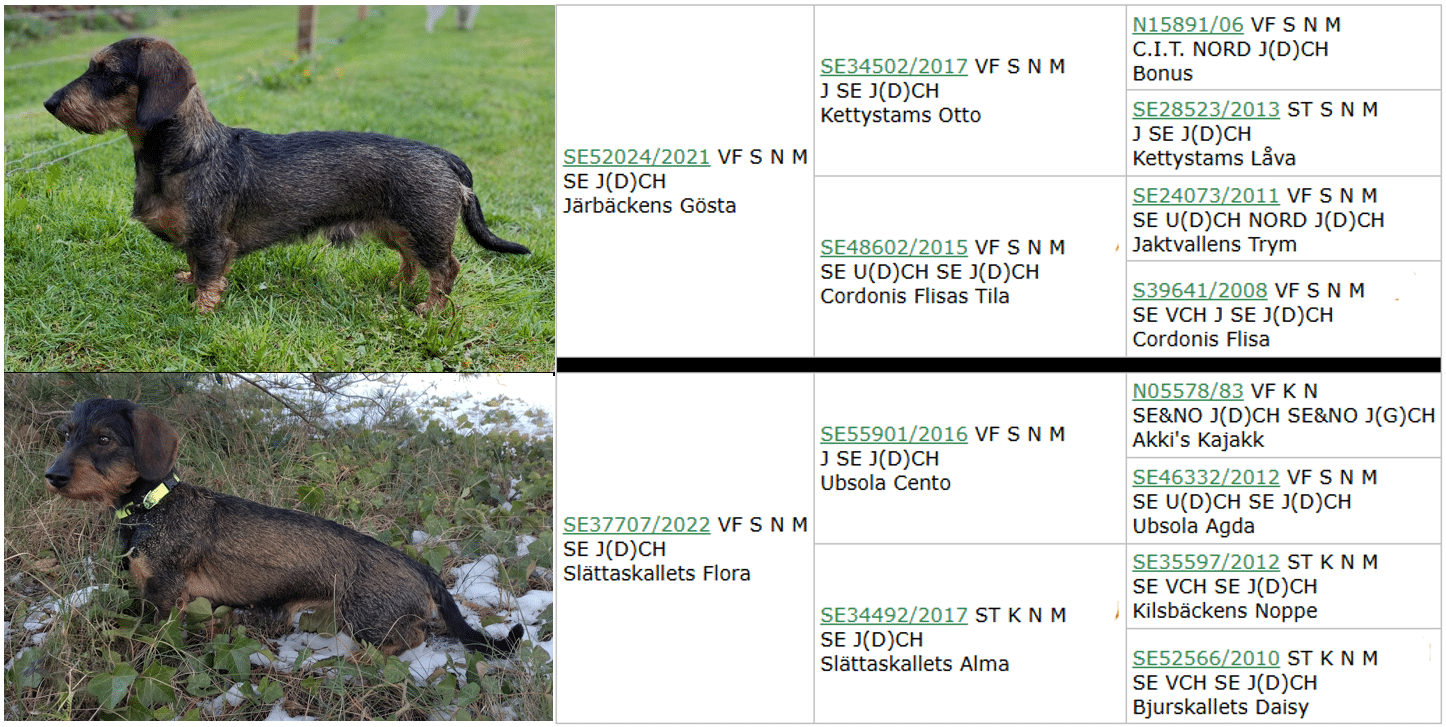 Taxar söker jägarhem