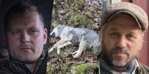 Christoffer Jannesson, rovdjursansvarig, och Magnus Stolpe, ordförande i Jägareförbundet Halland, är besvikna över domen. Foto: Polisens förundersökningsprotokoll & Privat