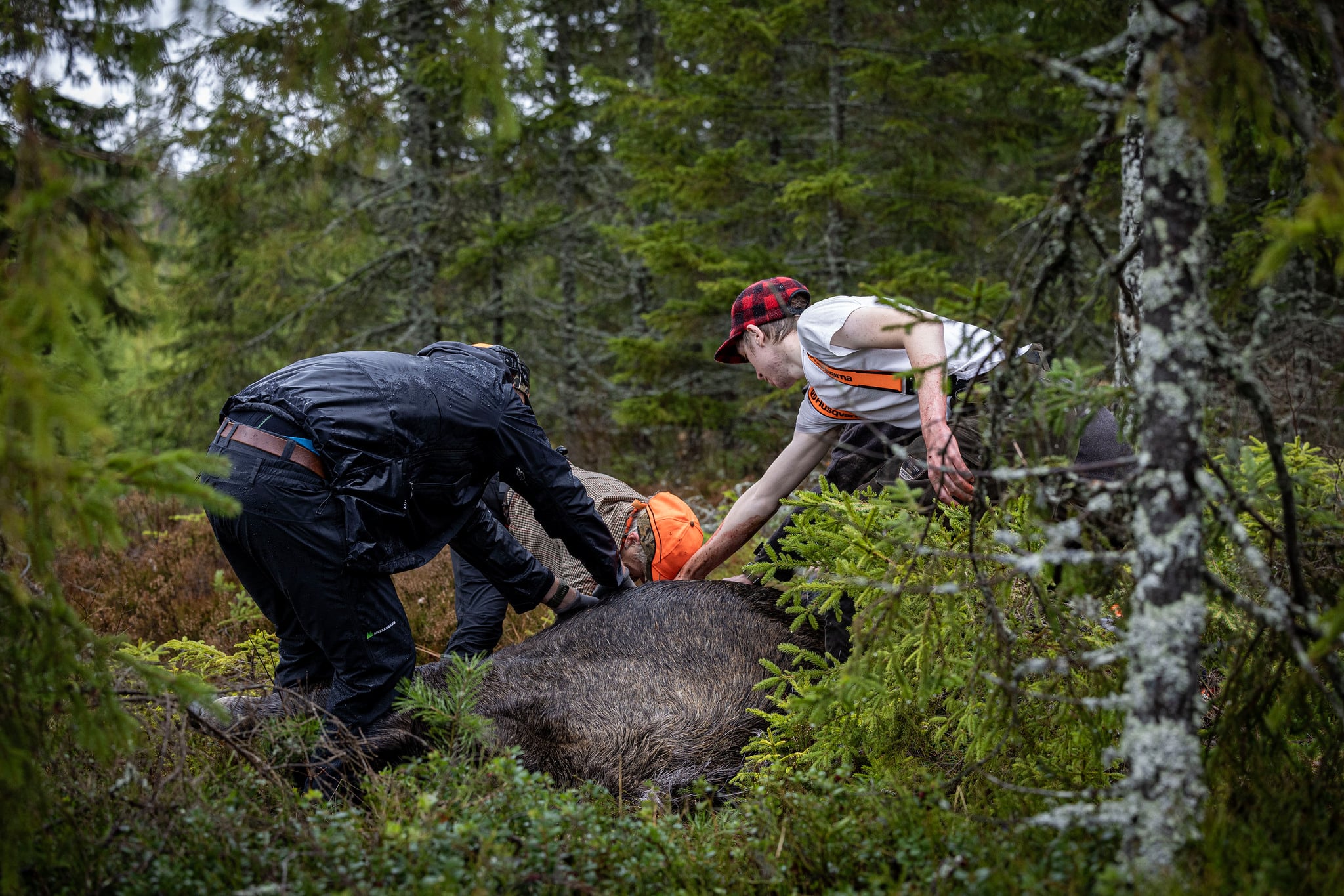 Vi jägare stöttar skogsbolagen och markägarna med flera miljarder kronor per år genom arbetet vi lägger ner i deras skogar, skriver debattören.