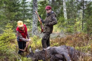 I stället för att värna den svenska modellen för älgförvaltning, där lokalt ansvar och samverkan står i centrum, väljer Naturvårdsverket att föreslå åtgärder som i praktiken kringgår samma system. Det är svårt att tolka detta på annat sätt än att trycket från de stora markägarintressena nu fått ett alltför stort genomslag, skriver debattören.
