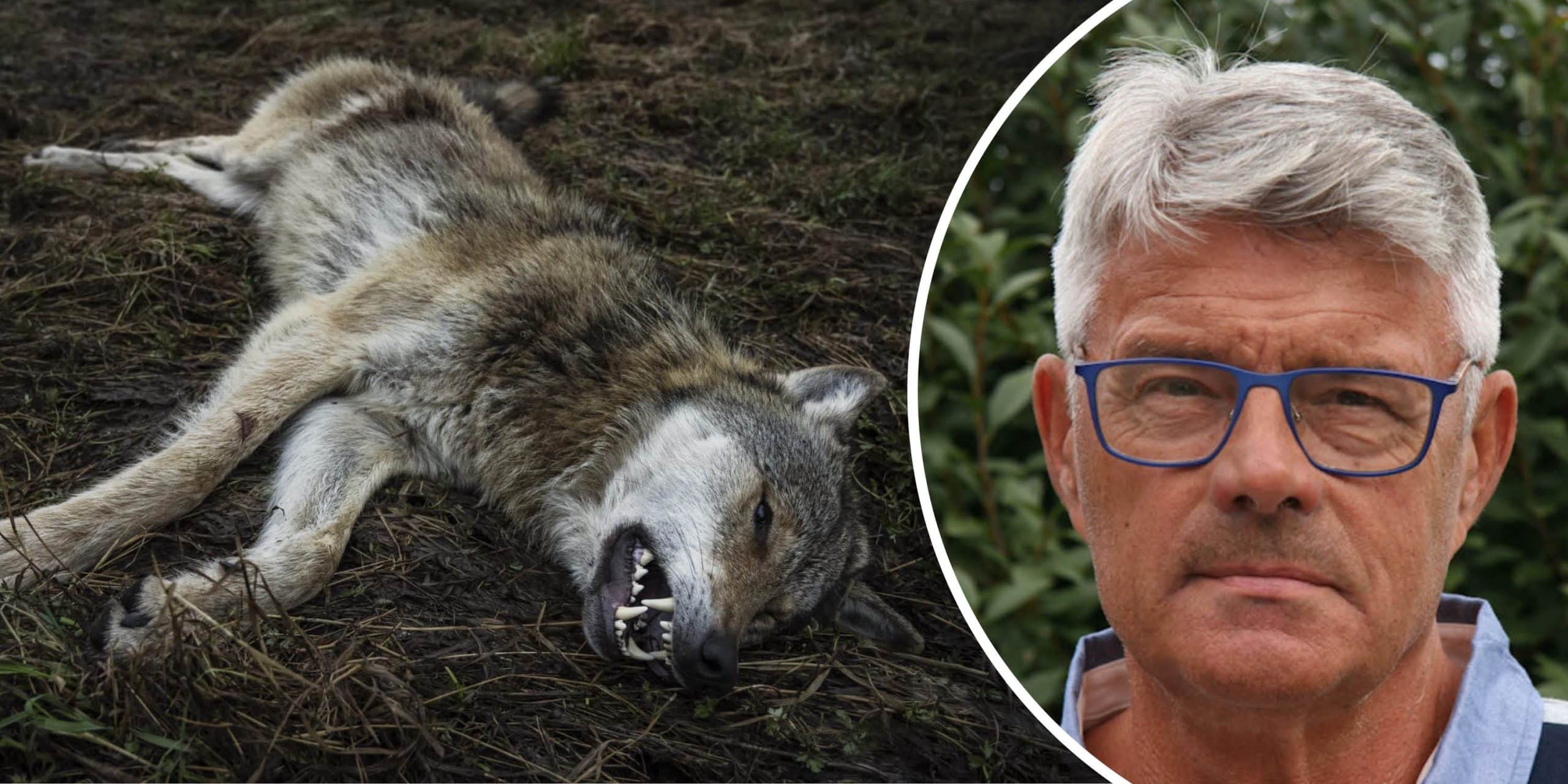Erik Wilsson, filosofie doktor i etologi och före detta utbildningschef för statens hundskola.