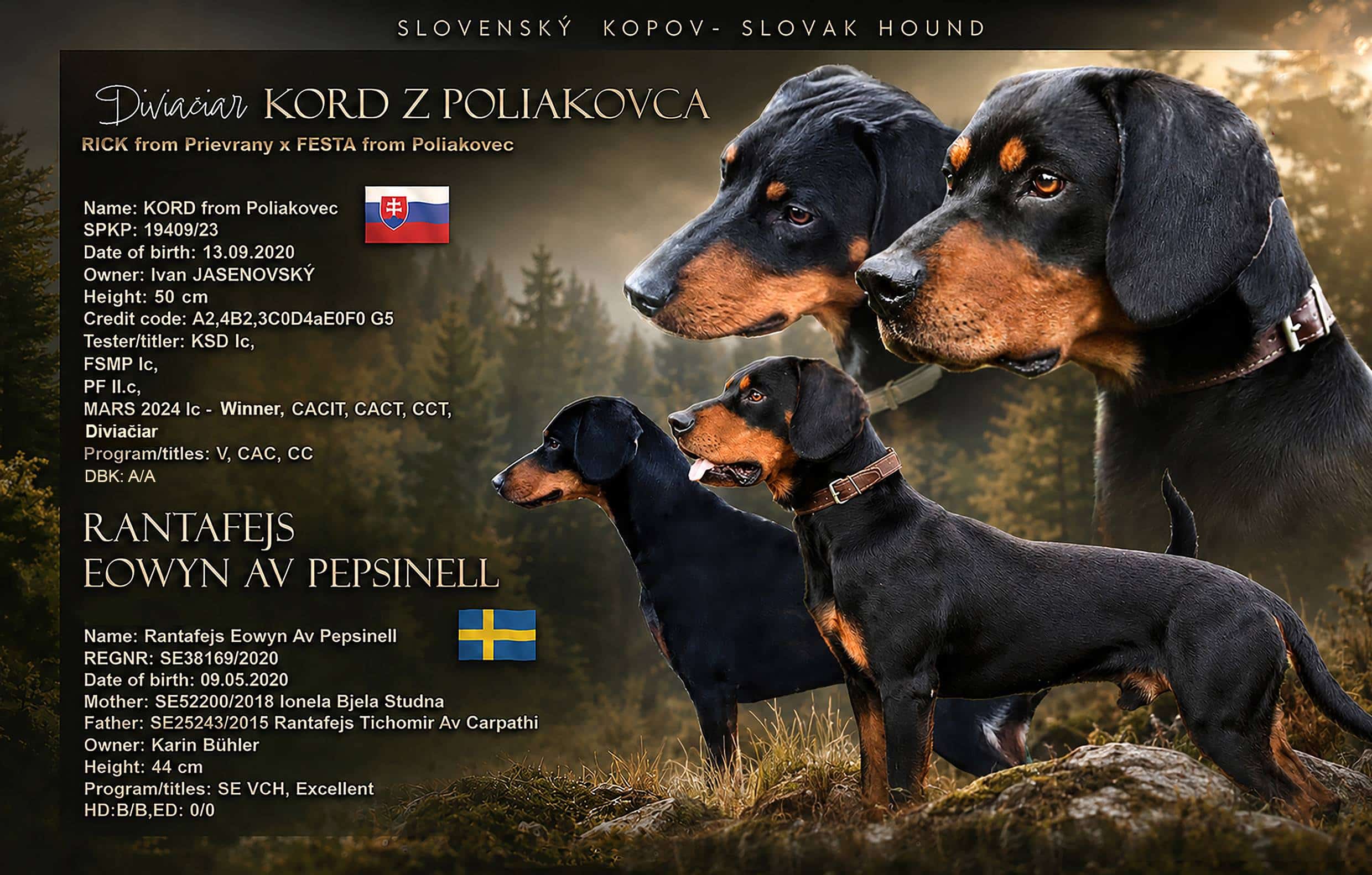 Slovenský kopov