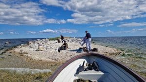Jägareförbundare förbereder eftermiddagens och kvällens skarvjakt på en ö i Mönsterås skärgård. Foto: Bill Nelson
