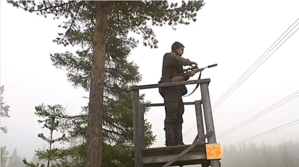 SVT:s Nordnytt hängde med LTU-studenter på älgjakt. Foto: SVT