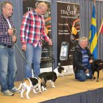 Sverige representerades av drevern Slagstigens Qitty med ägaren Jyrki Vouti, smålandsstövaren Lässi med ägaren Torbjörn Larsson och beaglen Utvängs Tsaritza med ägaren Björn Åkesson.