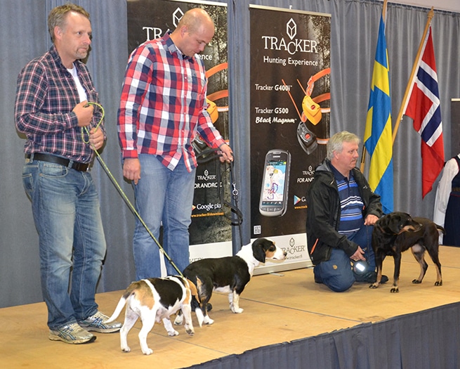 Sverige representerades av drevern Slagstigens Qitty med ägaren Jyrki Vouti, smålandsstövaren Lässi med ägaren Torbjörn Larsson och beaglen Utvängs Tsaritza med ägaren Björn Åkesson.