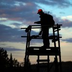 Älgjaktsvecka i Jämtland. Foto: Tobbe Lektell