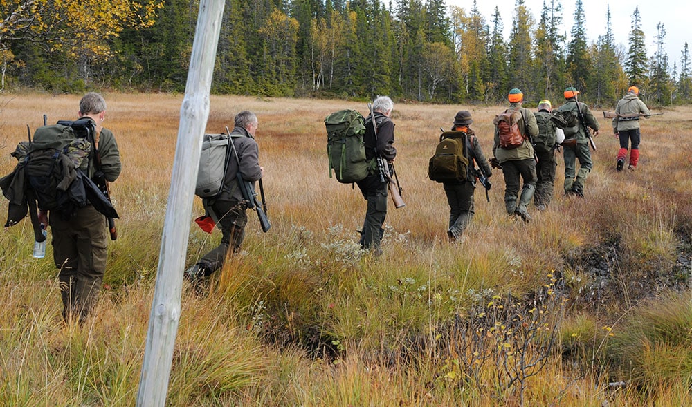 Allt fler jägare ansluter sig till Svenska Jägareförbundet som nu har medvind i rekryteringen av nya medlemmar. Foto: Jan Henricson