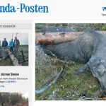 Faksimil från Vetlanda-Posten.