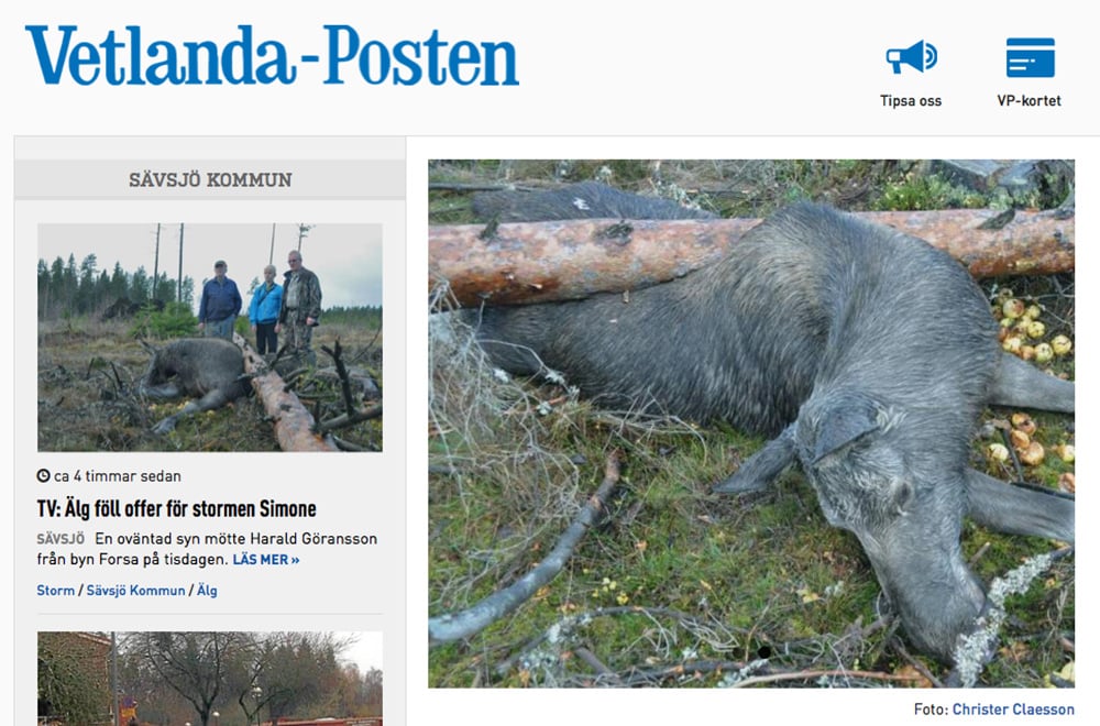 Faksimil från Vetlanda-Posten.