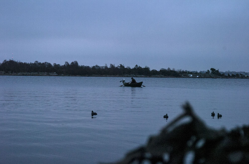 Det kan dröja flera år innan Söderhamns kommuns planerade satsning på jaktturism på sjöfågel blir verklighet. Foto: Jan Henricson