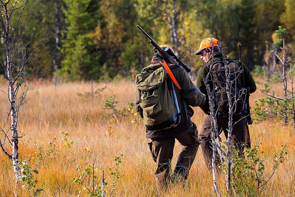 En färsk Sifo-undersökning visar att 87 procent av befolkningen accepterar jakt.