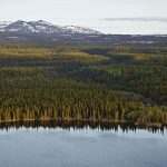Affären syftar till att öka arealen av skyddad skogsmark i Sverige. Foto: Tomas Johansson