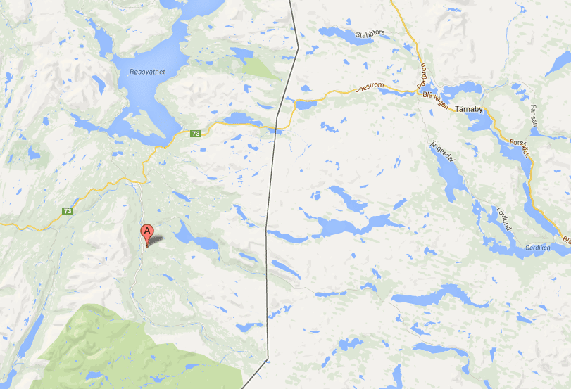Två älgar hoppade imorse från en bro i Norge, inte långt från Tärnaby.