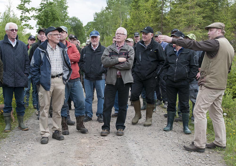 I Jägareförbundets allmänna uppdrag ingår bland annat att informera jägare och allmänhet om vilt och viltvård. Som här, när jaktvårdskonsulent Elias Turesson, längst till höger, pratar om vilt och skogsbruk under en skogskväll i Skillingaryd. Foto: Jan Henricson