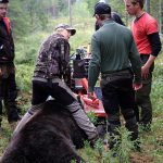 Tina Englund i samband med en lyckad jakt på björn. Foto: Olle Olsson