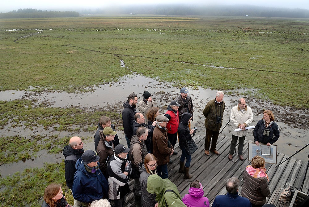 Våtmarksstipendiet delades ut till Malin Karlsson vid Brånsjöns naturreservat i närvaro av Våtmarksfondens ordförande Lars Ingelmark och Ragn-Sells ordförande och koncernchef Erik Sellberg. Foto: Lars-Henrik Andersson