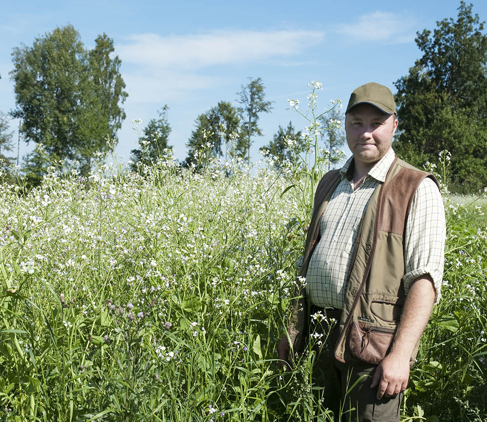 Jaktvårdskonsulent Elias Turesson tycker inte att man ska dra för långtgående slutsatser efter endast ett års inventering av betesskador i ungskogarna. Foto: Jan Henricson