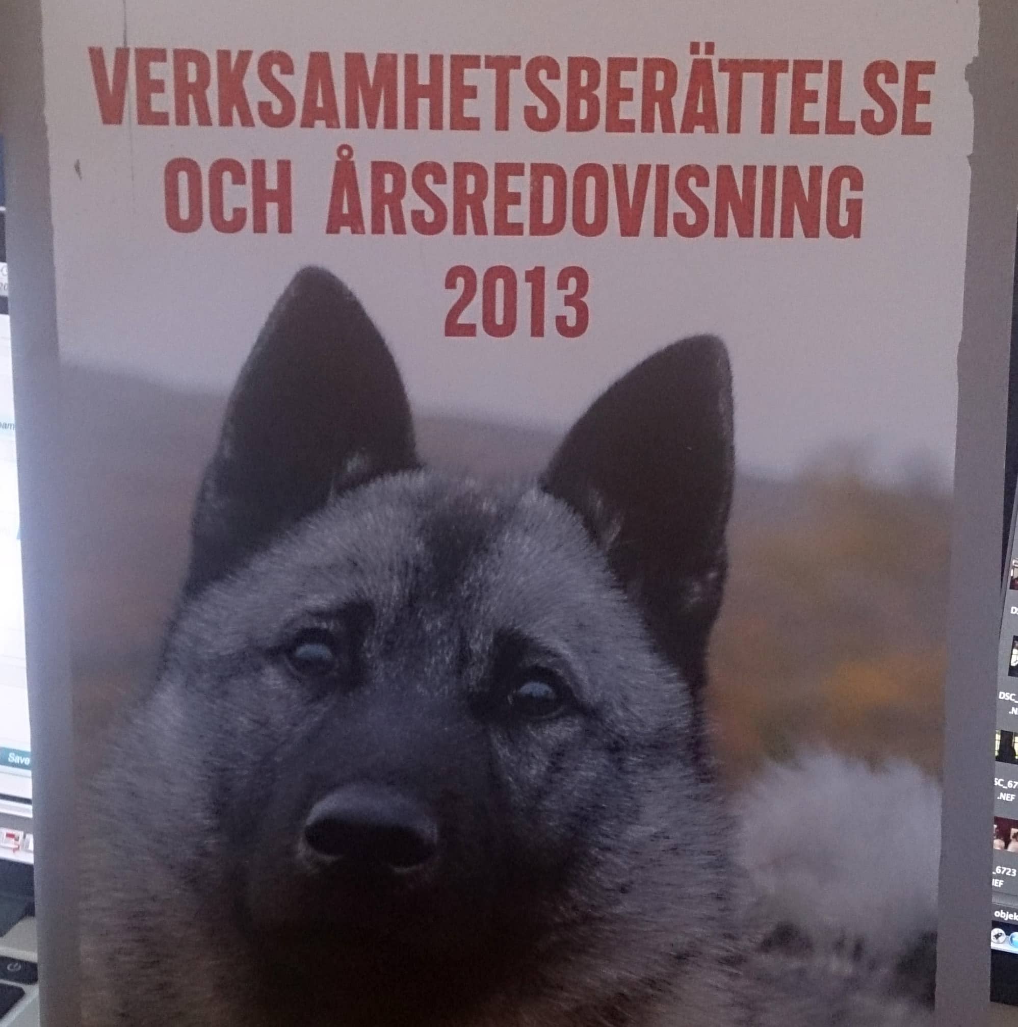 Jägareförbundets årsredovisning för 2013. Foto: Martin Källberg