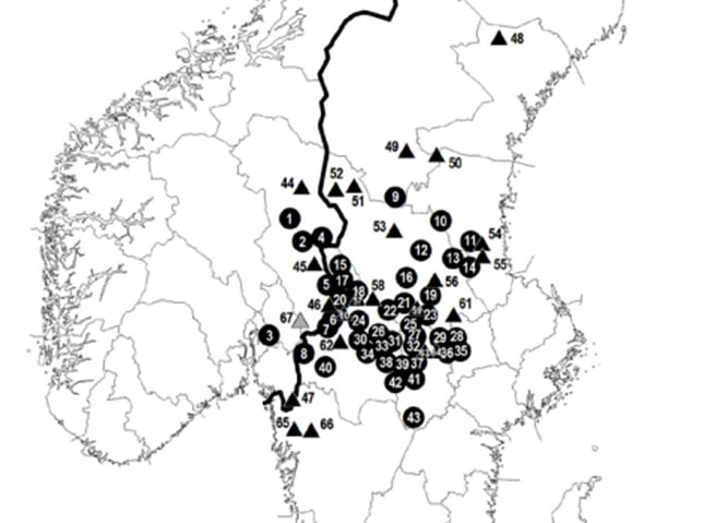 Trots att riksdagen beslutat om lägre koncentrationer av varg slår Viltskadecenter fast att den geografiska utbredningen av den skandinaviska populationen är i huvudsak som tidigare  år. Nya revir med revirmarkerande par etableras fortsatt i första hand inom det huvudsakliga utbredningsområdet. Källa: Viltskadecenter