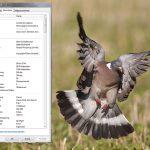 Metadata berättar inte bara när en bild togs. Eftersom kamerans olika inställningar också registreras hjälper metadata även fotografen att förstå varför bilden blev som den blev. Foto: Sten Christoffersson