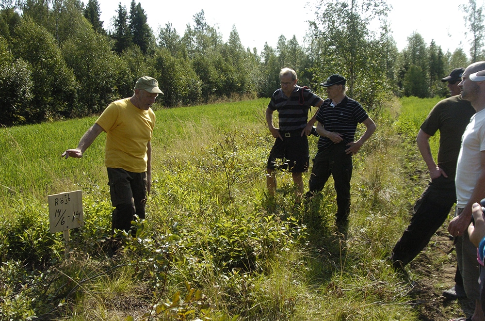 Eskil Lugnet visar exkursionsdeltagarna hur nytt viltbete redan börjat växa fram där han röjde veckan före midsommar. Foto: Bernt Karlsson