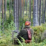 Det finns inga stora skillnader mellan stad och landsbygd för acceptansen för jakt. Den är hög i hela landet. Foto: Olle Olsson