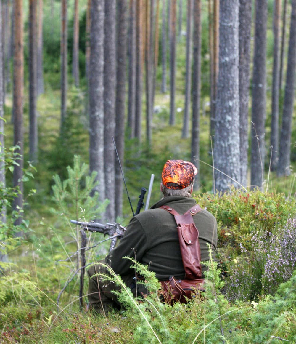 Det finns inga stora skillnader mellan stad och landsbygd för acceptansen för jakt. Den är hög i hela landet. Foto: Olle Olsson