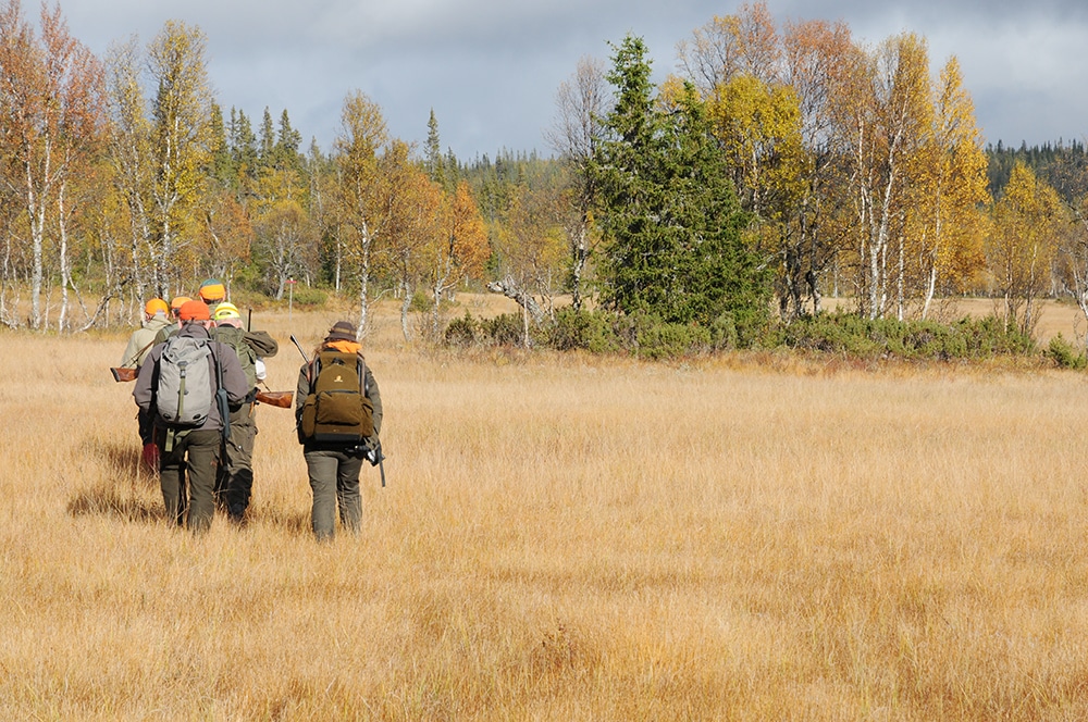 Att få jaga tillsammans med likasinnade är en trivselhöjande faktor. I varje fall i Finland. Foto: Jan Henricson