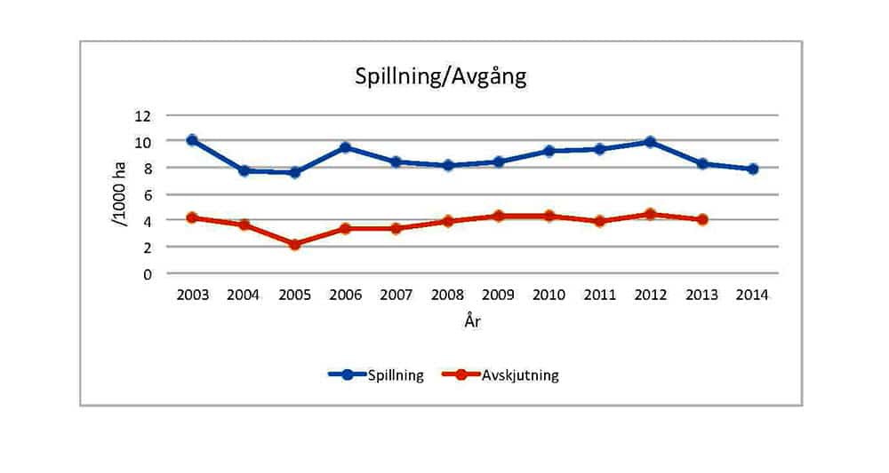 I avskjutningen ingår också avgång i form av trafikdödade älgar, med mera, vilket ger ett tillägg på sju procent på det jaktliga uttaget.