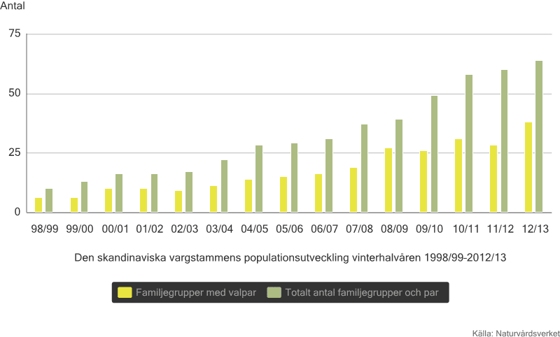 Diagrammet visar vargstammens utveckling i landet. Källa: Naturvårdsverket