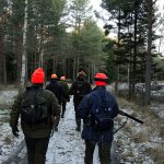 Mediernas allt sämre bevakning av landsbygden och den bild de förmedlar av landsbygden som problematisk, kan förmodligen även spilla över på de jaktliga frågorna. Foto: Martin Källberg