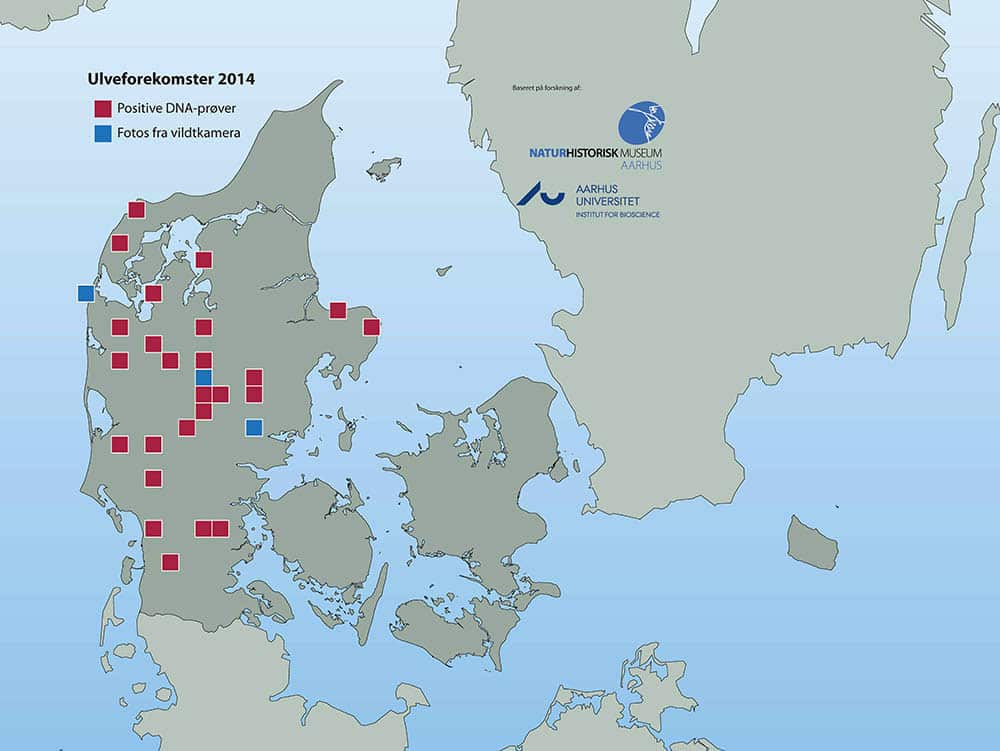 Kartan visar fynd inom en radie av 10x10 kilometer. Det är därför inte möjligt att identifiera exakta fyndplatser, av hänsyn till berörda markägare.
