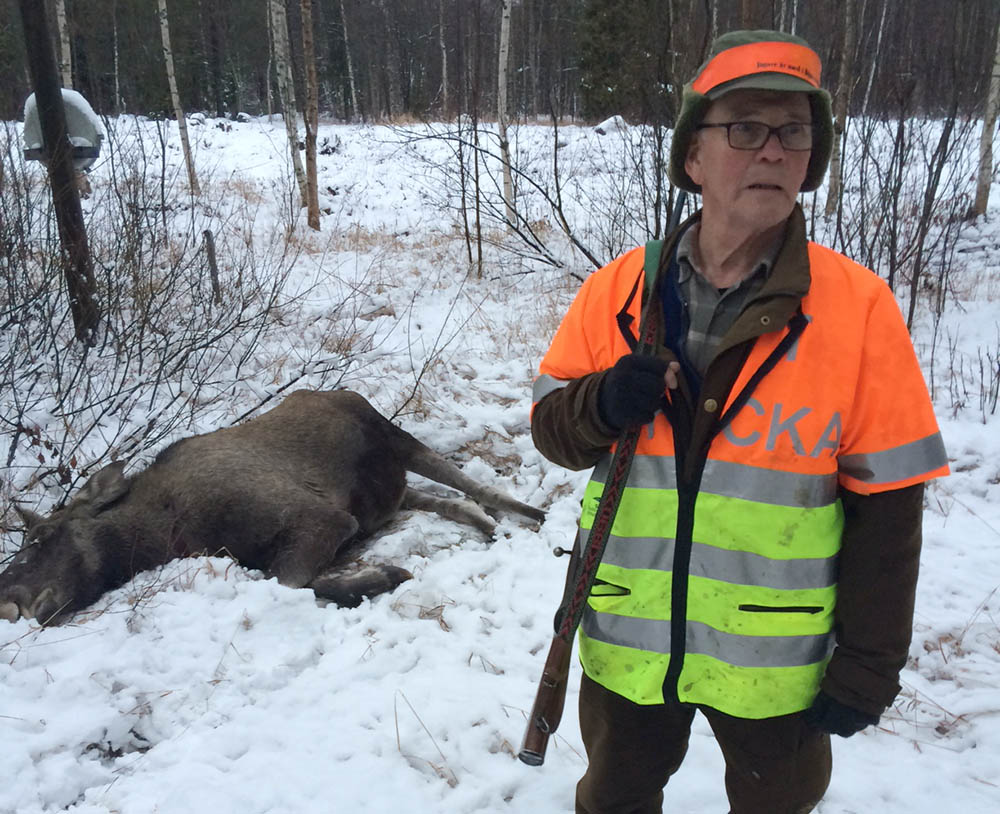 Eftersöksjägaren Gunnar Eriksson lyckades fälla den aggressiva älgkon i Luleå. Foto: Lars-Henrik Andersson