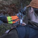 Post- och telestyrelsen varnar för att användandet av importerade hundpejlar kan ge böter eller fängelse upp till sex månader. Foto: Daniel Sanchez