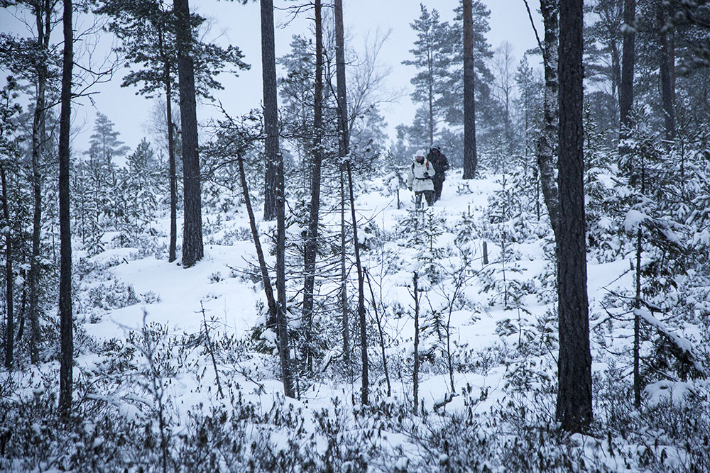 Vargjägare i Värmland. 