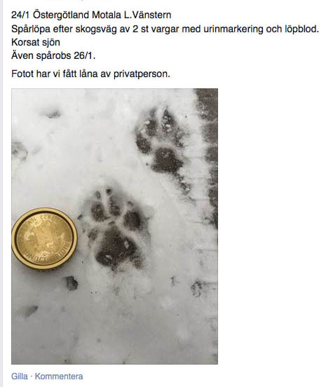 Skärmbild från Facebook.