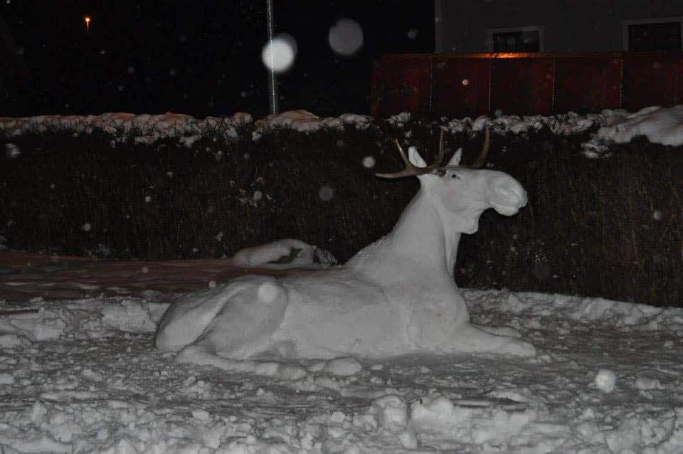 Fyra timmar tog snöälgen att bygga. Foto: Privat