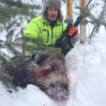 Vildsvin är sannerligen inget vanligt jaktvilt i Norrbotten. Johan Nilsson, Övertorneå, lyckades dock skjuta ett vildsvin i lördags. Foto: Sebastian Niemi/Jakt i Tornedalen