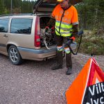 Många eftersöksjägare, sannolikt tusentals, får vänta på sina ersättningar för utförda trafikeftersök. Foto: Torbjörn Lektell