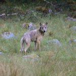 Foto: Kenneth Johansson