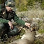 Jägareförbundet Eksjökretsen uppmuntrar med ett lotteri jägarna att delta i den viktiga viltövervakningen genom att rapportera fällt vilt till viltdata.se.  Foto: Jan Henricson