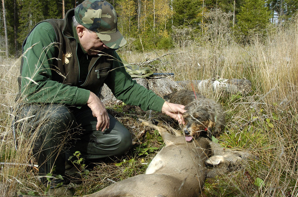 Jägareförbundet Eksjökretsen uppmuntrar med ett lotteri jägarna att delta i den viktiga viltövervakningen genom att rapportera fällt vilt till viltdata.se.  Foto: Jan Henricson
