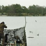 Länsstyrelsen i Blekinge ger länets sjöfågeljägare fortsatt tillstånd att jaga på allmänt vatten. Foto: Jan Henricson